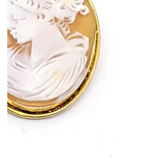 Antique Victorian carved shell cameo, pendant and brooch. sxx. Jeweler's.