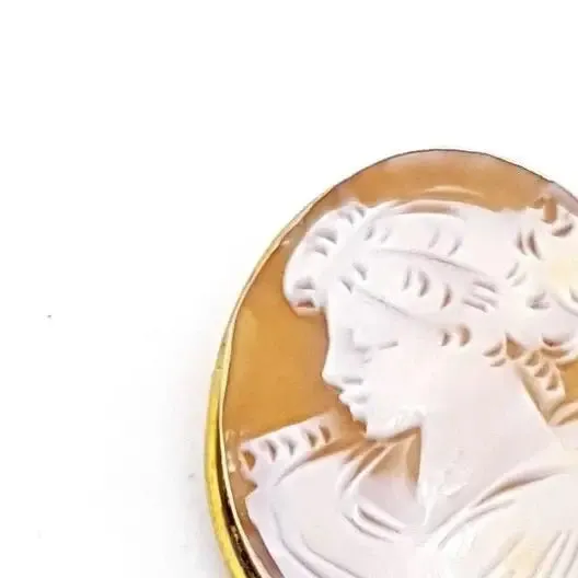 Antique Victorian carved shell cameo, pendant and brooch. sxx. Jeweler's.