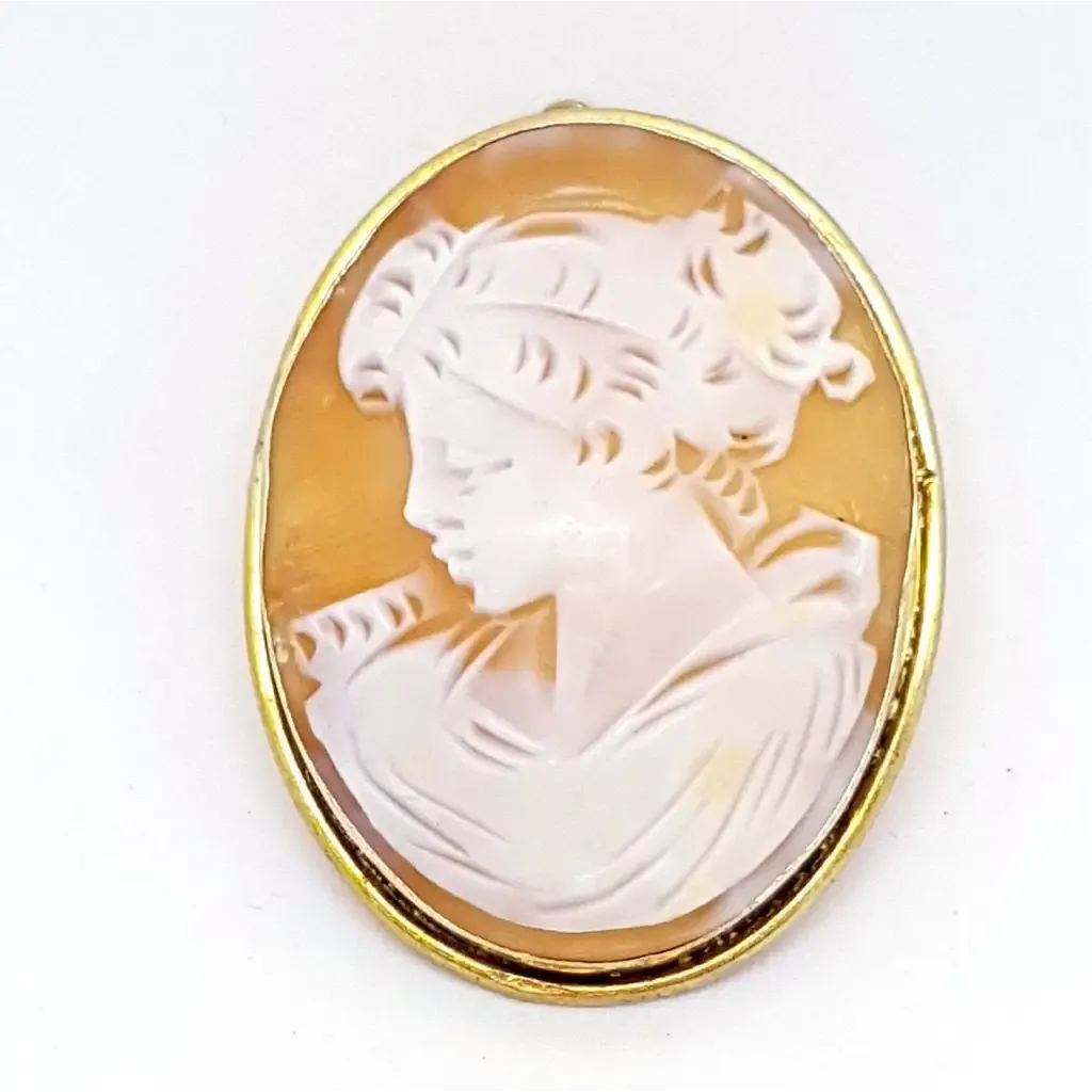 Antique Victorian carved shell cameo, pendant and brooch. sxx. Jeweler's.
