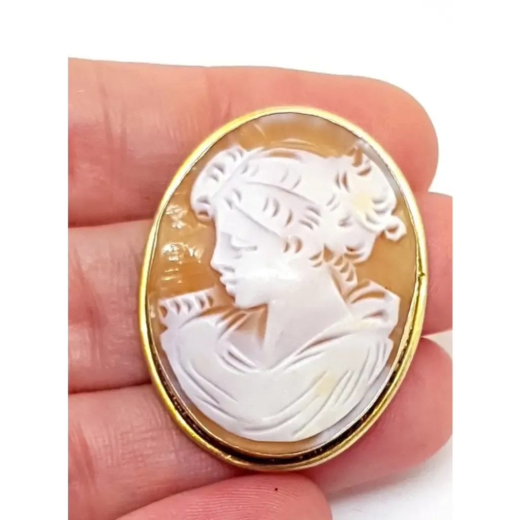 Antique Victorian carved shell cameo, pendant and brooch. sxx. Jeweler's.